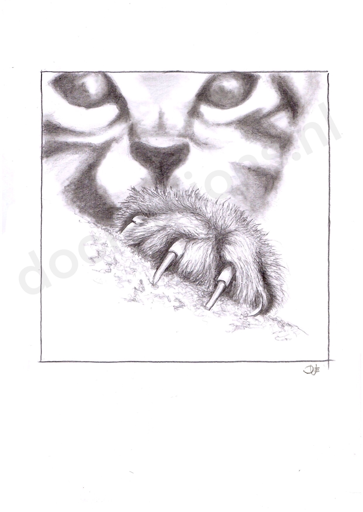 2. poes